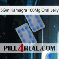 5Gm Kamagra 100Mg Oral Jelly 20